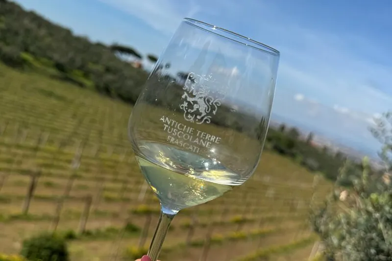 Roman Countryside Wine Tasting Tour in Frascati