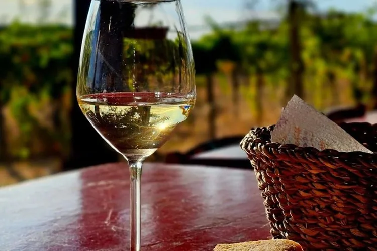 A toast to golden light.