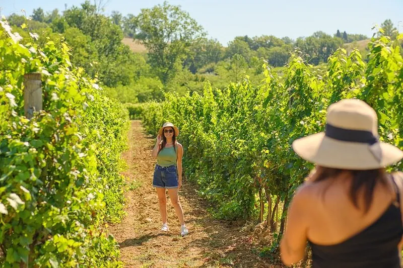 Wine Escape: Half Day Tour from Florence to Chianti & local food tastings