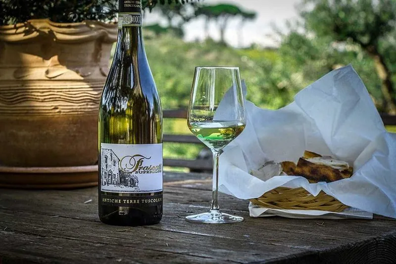 Roman Countryside Wine Tasting Tour in Frascati