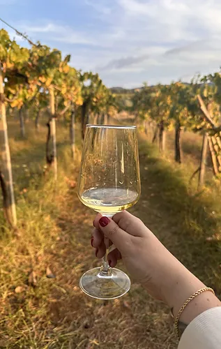 A toast to golden light.