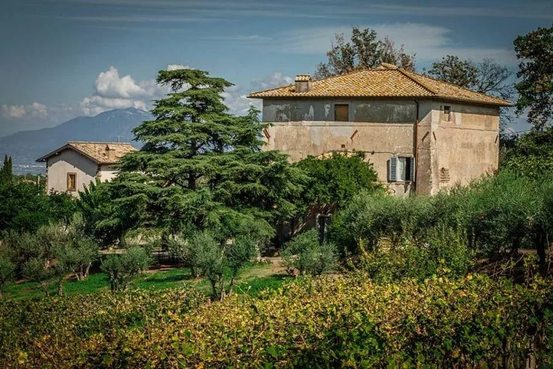 Roman Countryside Wine Tasting Tour in Frascati