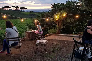 Frascati by Night: Wine & Traditions