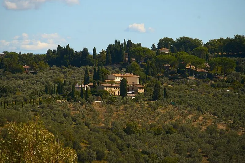 Chianti Icons: Semi-Private Wine Tour with Wineries and Tastings