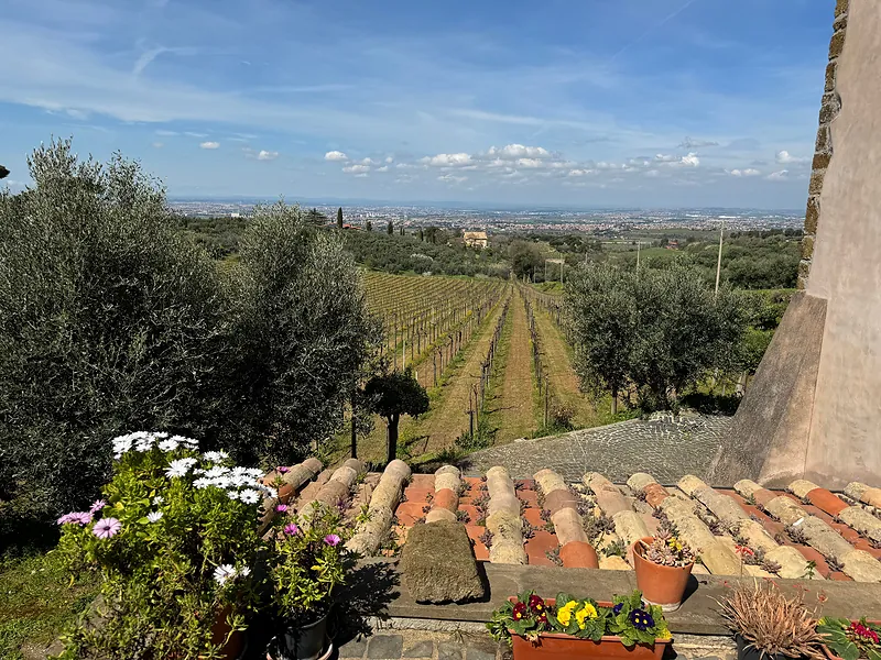 Roman Countryside Wine Tasting Tour in Frascati