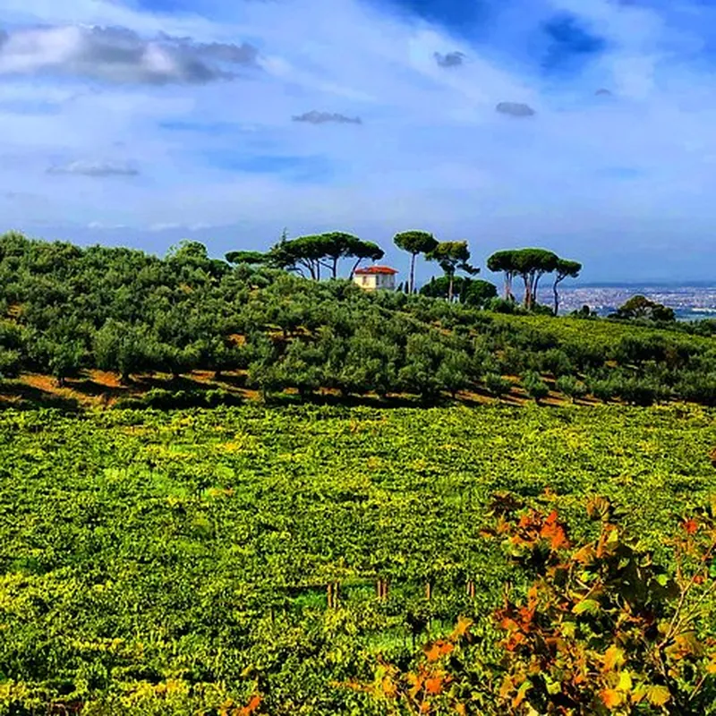 Roman Countryside Wine Tasting Tour in Frascati