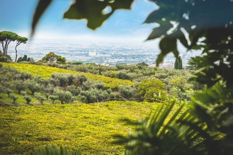 Roman Countryside Wine Tasting Tour in Frascati