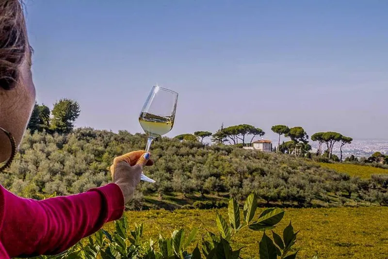 Roman Countryside Wine Tasting Tour in Frascati