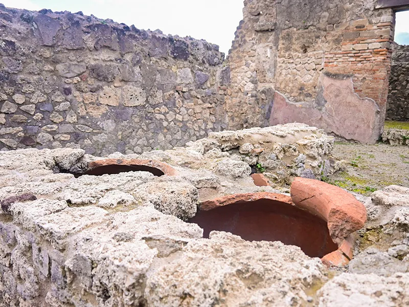 Pompeii & Vesuvius from Rome with Lunch