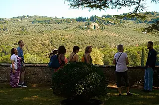 Chianti Icons: Semi-Private Wine Tour with Wineries and Tastings