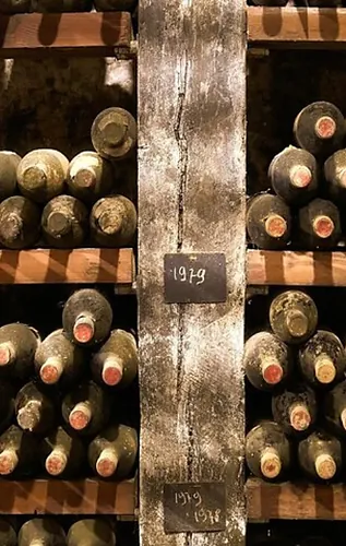 Wine Through the Territory