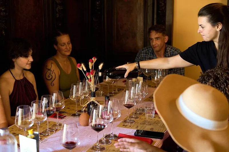 Chianti Icons: Semi-Private Wine Tour with Wineries and Tastings
