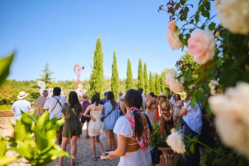 Wine Escape: Half Day Tour from Florence to Chianti & local food tastings