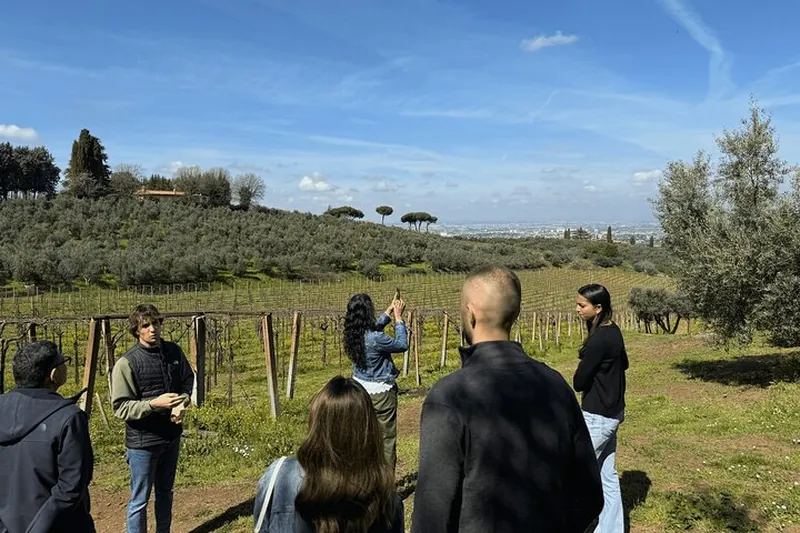 Roman Countryside Wine Tasting Tour in Frascati