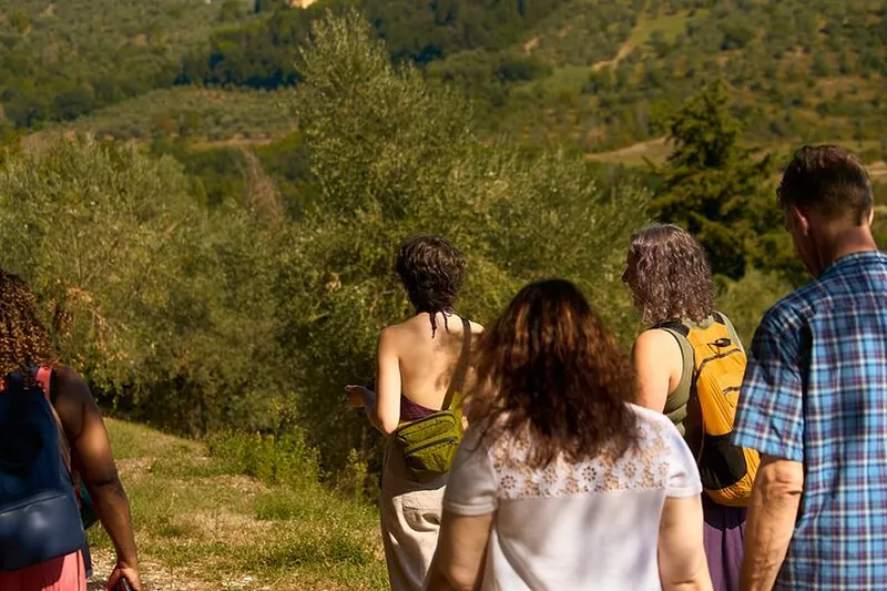 Chianti Icons: Semi-Private Wine Tour with Wineries and Tastings