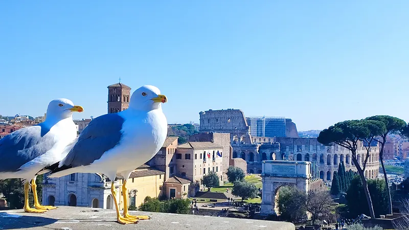 VIP Private Colosseum, Forum & Palatine Hill Tour
