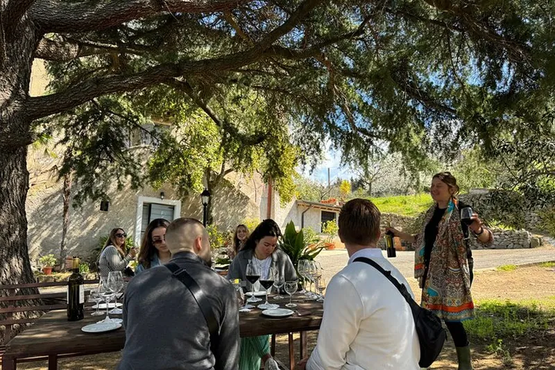 Roman Countryside Wine Tasting Tour in Frascati