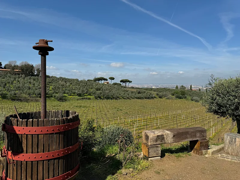 Roman Countryside Wine Tasting Tour in Frascati