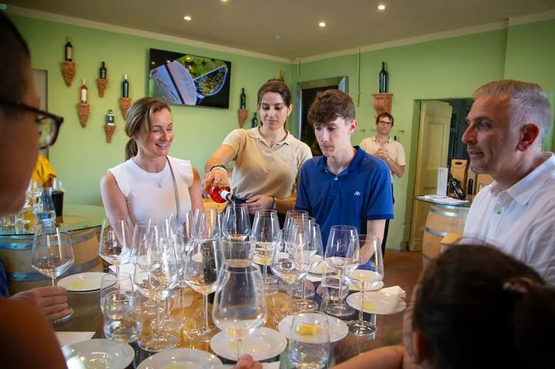From Florence: Tuscany Wine & Oil Tour with typical Tuscan Meal