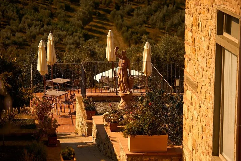 From Florence: Tuscany Wine & Oil Tour with typical Tuscan Meal
