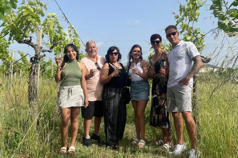 Frascati by Night: Wine & Traditions