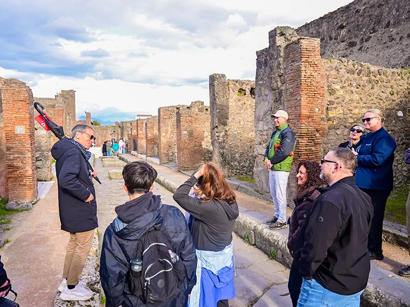 Pompeii & Vesuvius from Rome with Lunch
