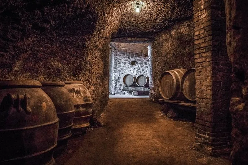 Roman Countryside Wine Tasting Tour in Frascati