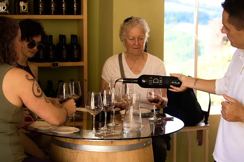 From Florence: Tuscany Wine & Oil Tour with typical Tuscan Meal