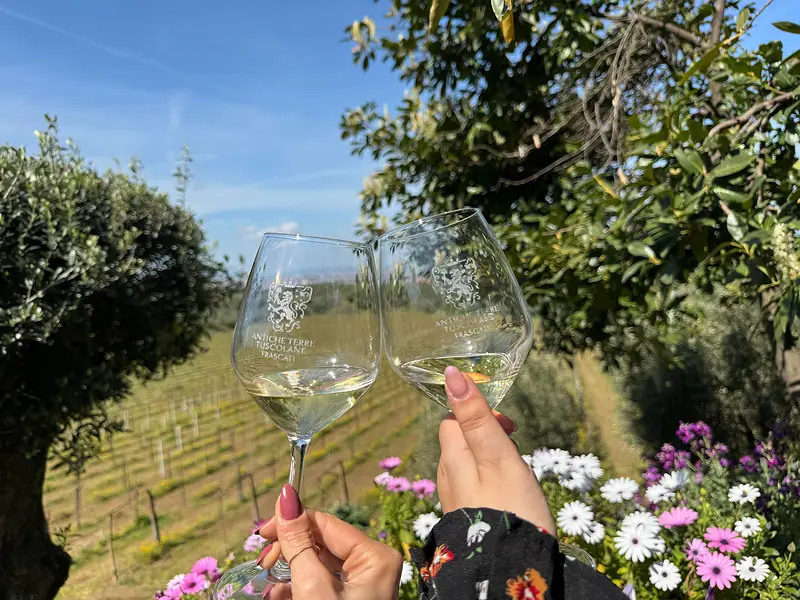 Roman Countryside Wine Tasting Tour in Frascati
