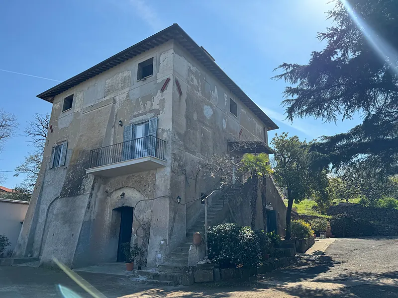 Roman Countryside Wine Tasting Tour in Frascati