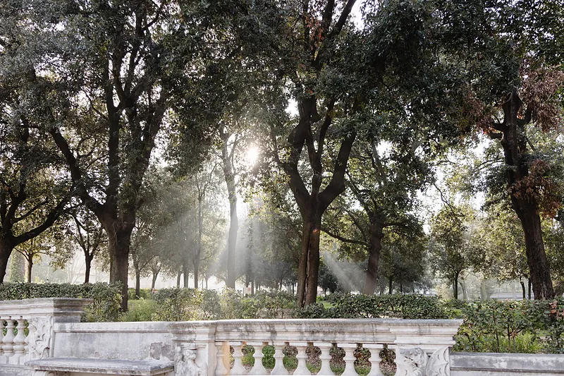 Borghese Gallery Priority Access Guided Tour