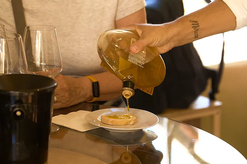 From Florence: Tuscany Wine & Oil Tour with typical Tuscan Meal